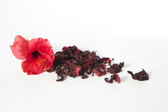 Malventee mit Hibiskusbl&uuml;te
