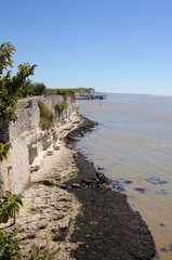 Falaises de Talmont-sur-Gironde