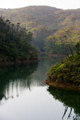 沖縄 やんばるの森と水辺