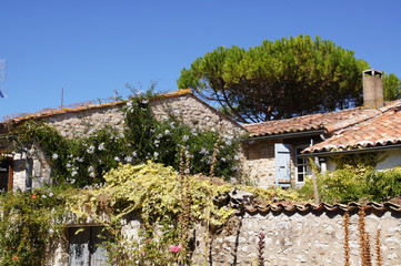Vieille maison en pierre et volet bleu à Talmont-sur-Gironde