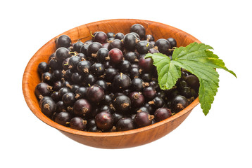Black currant