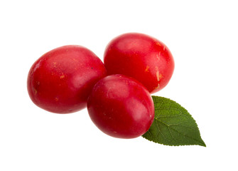 Damson plum