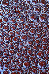 texture foam bubbles movement