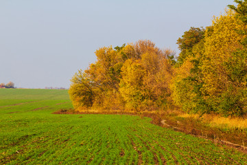 Naklejka premium autumn rural scene