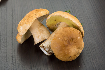 Boletus mushroom