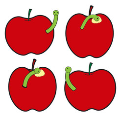 Apples with Worm Insect