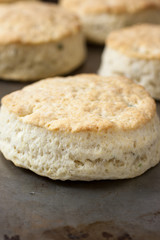 Homemade Biscuits