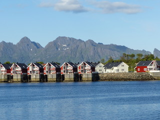 Port de Svolvaer en Norvège - maisons typique