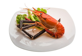 Giant Freshwater Prawn