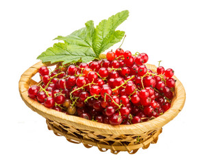 Red currant