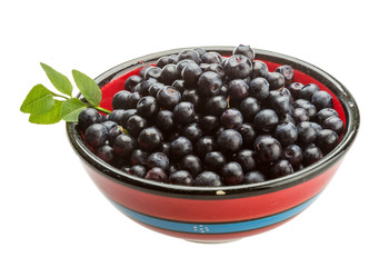 Blueberry