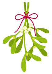 Mistletoe bouquet with bow of red rope