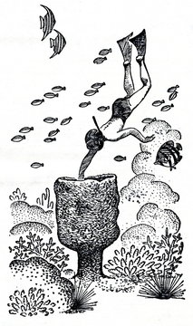 Neptune's cup (Cliona patera)