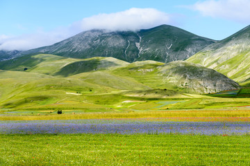 Piano Grande di Castelluccio (Italy)
