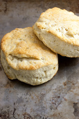 Homemade Biscuits