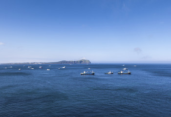 Obraz premium sea in Jeju, South Island