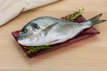 Raw dorado