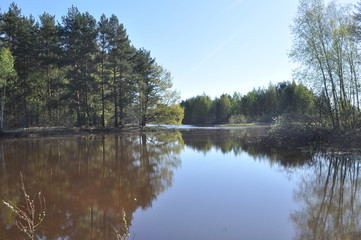 Quiet river backwater