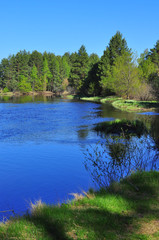 Fototapeta na wymiar River deserted spring landscape.