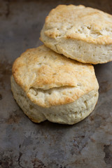 Homemade Biscuits