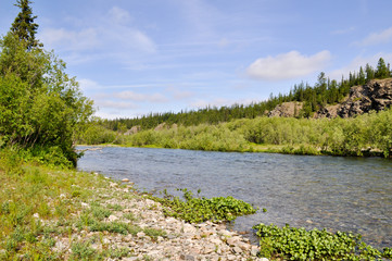 North river landscape.