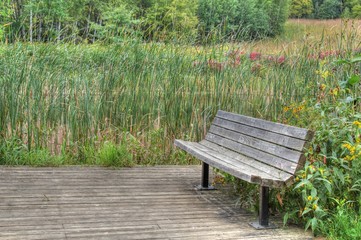 Cedar bench on boardwalk