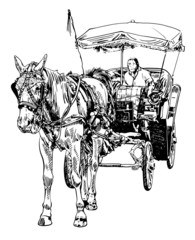 black and white sketch drawing of horse driver