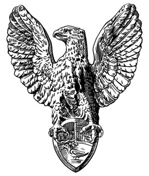 black and white drawing of heraldic sculpture eagle