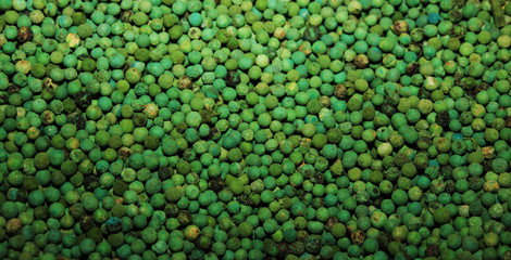 Panele Szklane  zielony pieprz w tle
