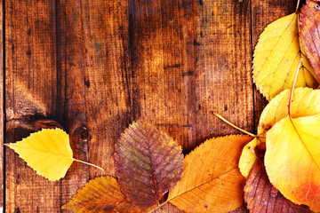 Naklejka na ściany i meble Yellow leaves on brown wooden background
