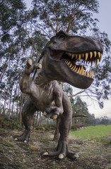 Fototapeta premium Kompletna Tyrannosaurus Rex