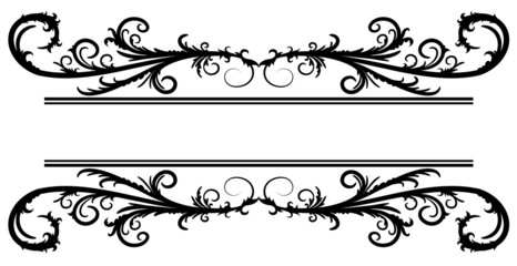 Floral frame 11