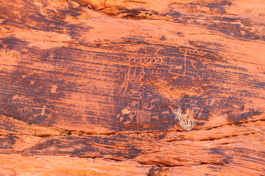 Petroglyphs at Valley of Fire Nevada