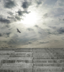 Stairs into Cloudy Sky with Bird