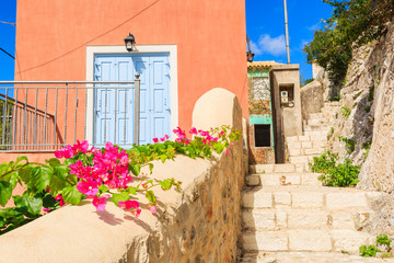 Fototapeta na wymiar Flowers and blue door of a house in Assos, Kefalonia island