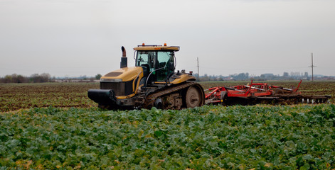 tractor cultivating