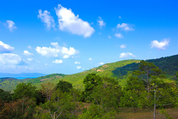 Fototapeta na wymiar The landscape on Koh Samui