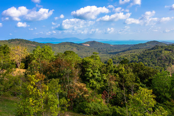The landscape on Koh Samui