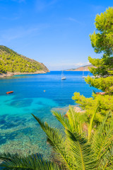View of sea bay and palm trees in Assos town, Kefalonia island