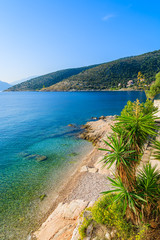 Tropical plants and beach on Kefalonia island in Agia Efimia
