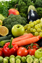 Assorted raw organic vegetables