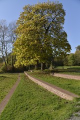 Les trois gradins au parc Roi Baudoin