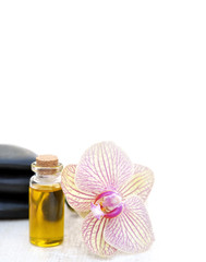Orchideenblüte, Öl und Steine