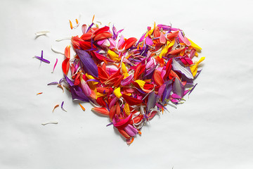 heart of flower petals flying