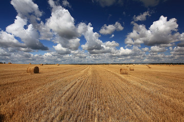 lay hay on field clouds sun © kichigin19