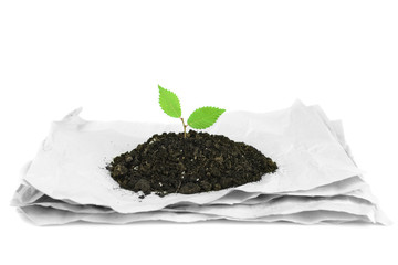 Plant growing from paper isolated on white