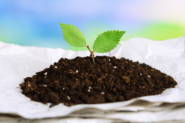 Plant growing from paper on table on bright background