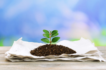 Plant growing from paper on table on bright background