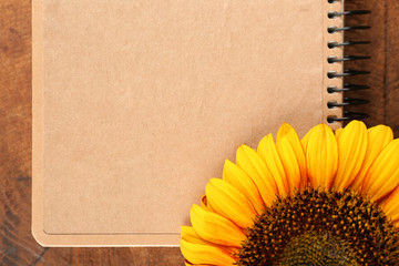 Beautiful sunflower with notepad on wooden background