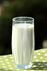 Milk in glass on napkin on natural background